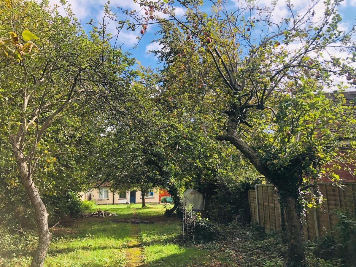 Appartement Amazing Quiet Garden House Near London Luton Airport Extérieur photo